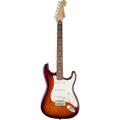 Fender Standard Stratocaster Plus Top RW